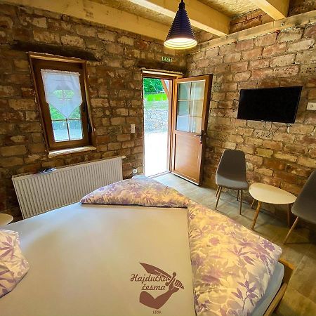 Holiday Park Hajducka Cesma Dubovsko Εξωτερικό φωτογραφία