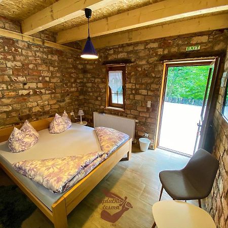 Holiday Park Hajducka Cesma Dubovsko Εξωτερικό φωτογραφία